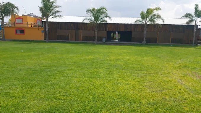 Jardín amplio y nave de madera con palmeras